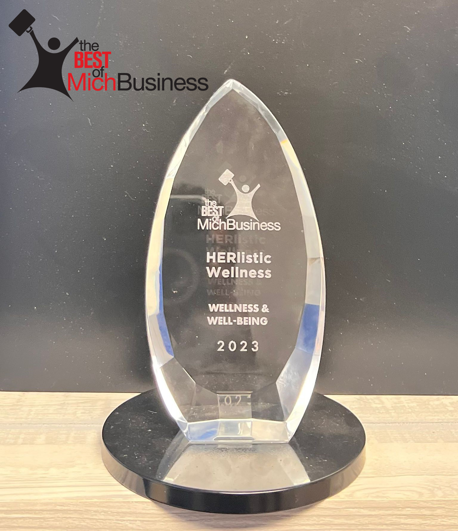 michigan business herlistic award
